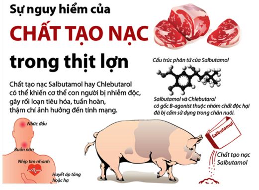 Tăng cường kiểm tra, giám sát, xử lý các trường hợp  sử dụng chất cấm trong chăn nuôi, giết mổ gia súc